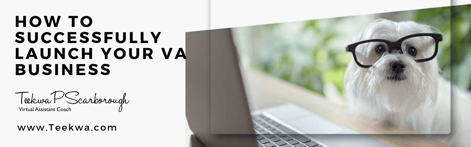 How to successfully launch your va business